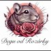 Degu od Rozárky