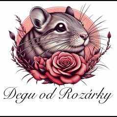 Logo Degu od Rozárky